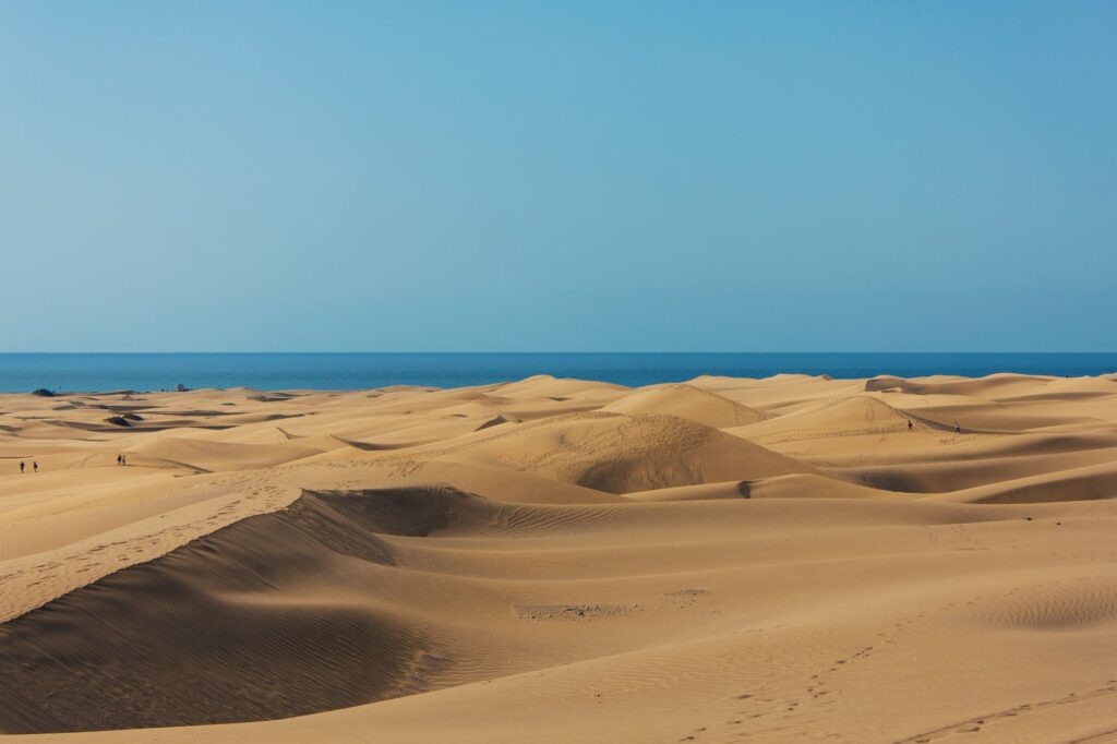 desert near ocean